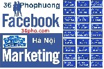 Nhóm phố chuyên doanh 36pho.com