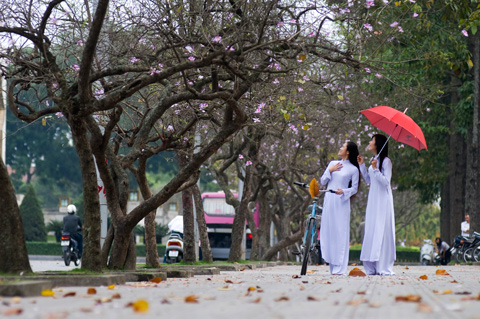 Description: http://nguoihanoi.com.vn/uploads/new_picture_5.png