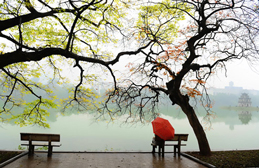 Description: http://images.dvt.vn/Images/Uploaded/Share/2011/01/12/8fchanoi8.jpg