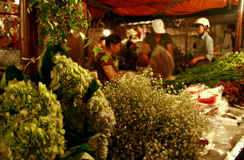 http://images1.afamily.channelvn.net/Images/Uploaded/Share/2010/12/26/ha-noi-6.jpg